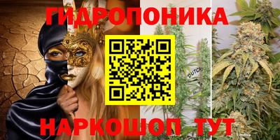 спиды Пенза